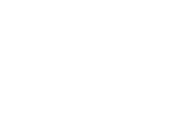 Pinecrest Lutheran Leadership Ministries, Inc.