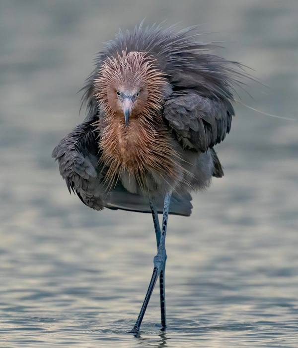 Actual photo of the Holy Spirit...deliberately walking towards your problems as She intercedes on your behalf.