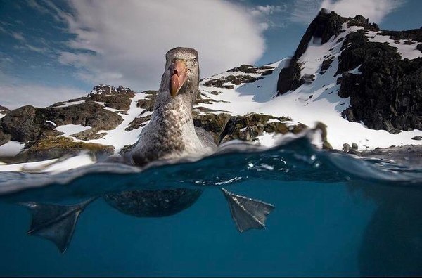 Actual photo of the Holy Spirit...she promises to swim beside you. Let's go.