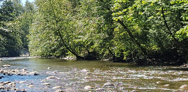 The week of July 3, 2022