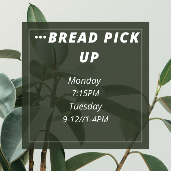 This Week