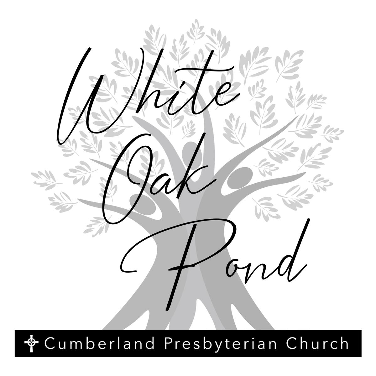 all-saints-sunday-photos-white-oak-pond-cumberland-presbyterian-church