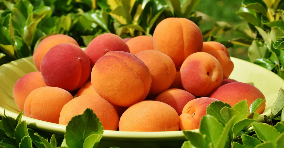 PEACHES & PEARS Joy Lutheran Church