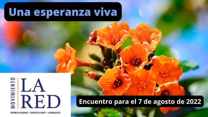 Una esperanza viva