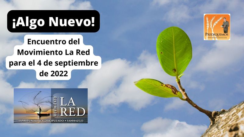 Algo Nuevo