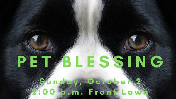 Pet Blessing