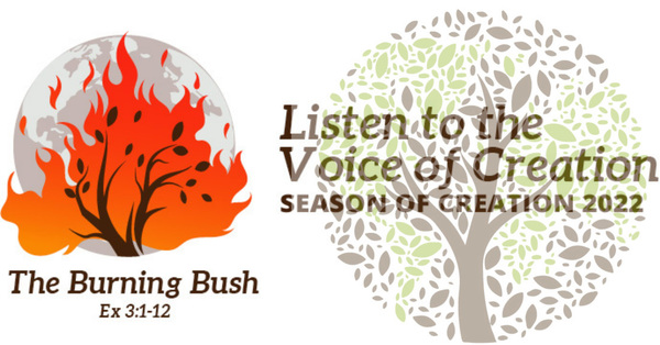 Season of Creation Resources for Parishes