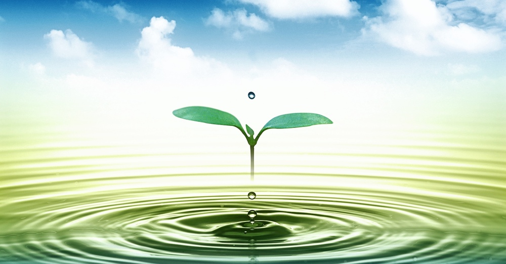 “The Banner Of Love” 