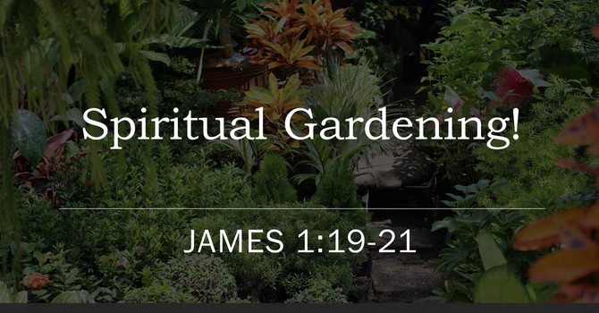 Spiritual Gardening!