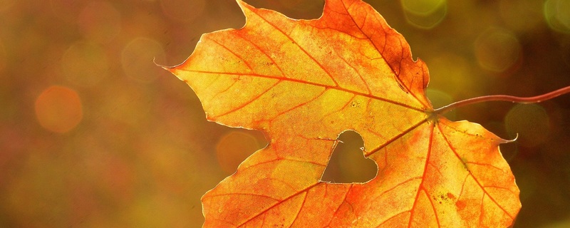 Nothing Gold Can Stay