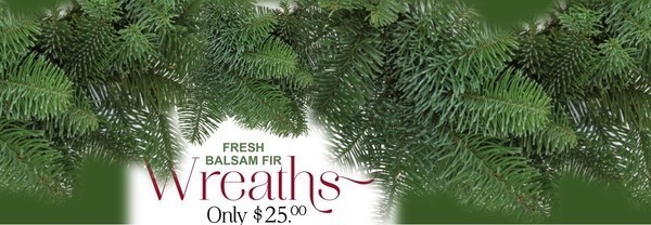 Christmas Wreaths