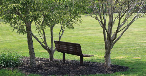 COVID Public Memorial and Meal