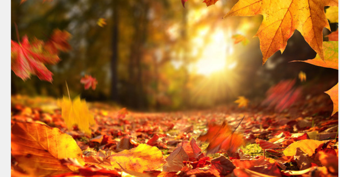 Link to the November 3 E-News image