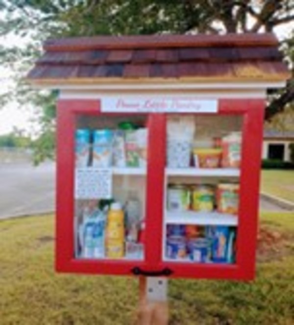 Peace's Little Pantry