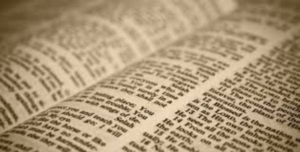 Encouragement from the Word