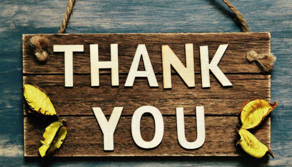 Our Thanksgiving Food Collection