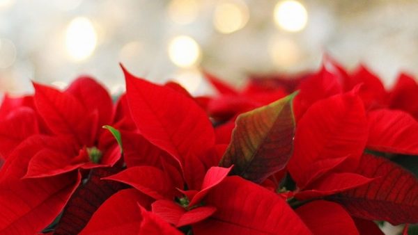 ALREADY? Yes, it’s that time of year!