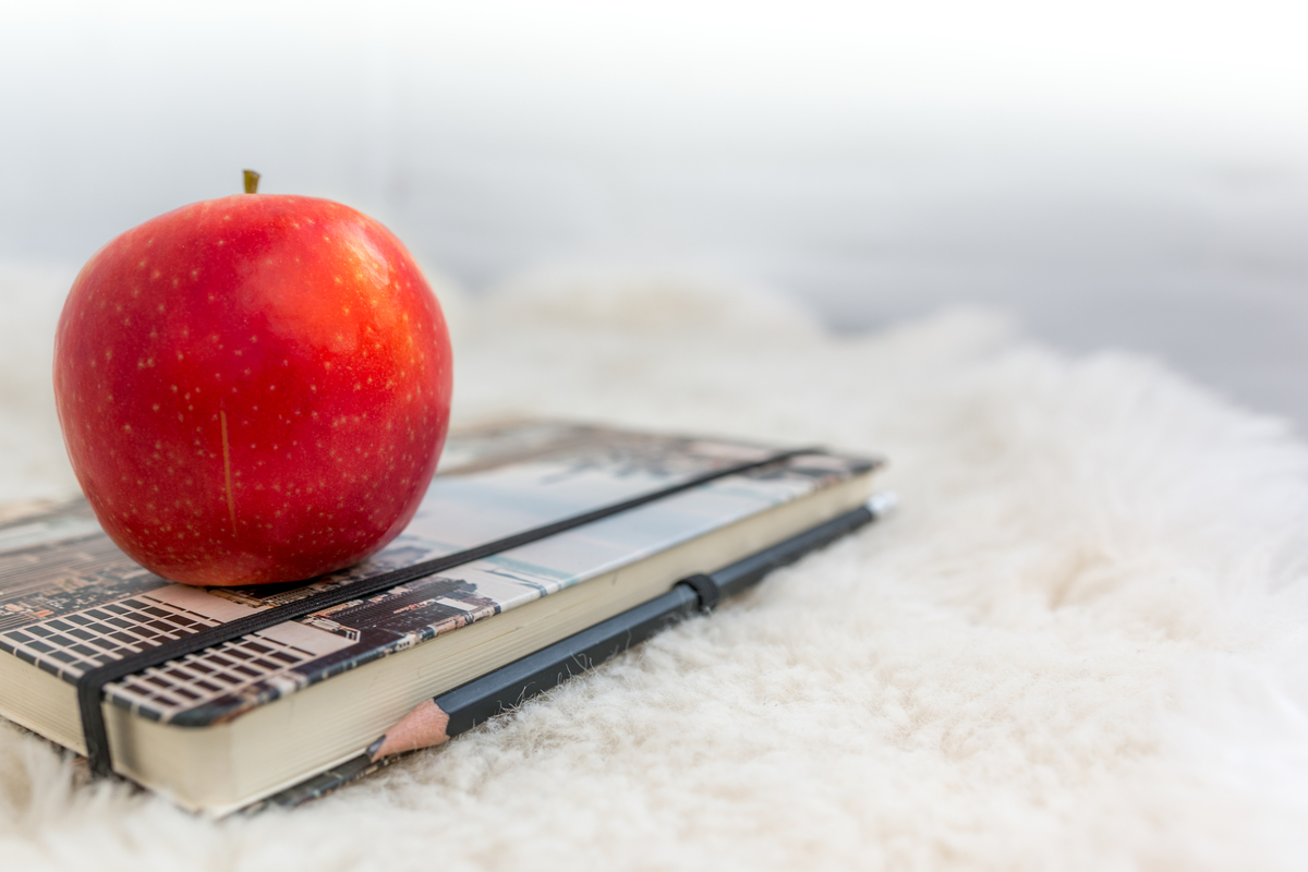 Blog Knoxville Potters House Church