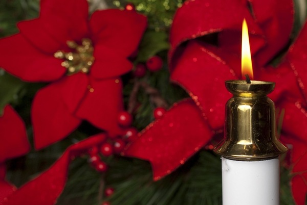 Christmas Flowers