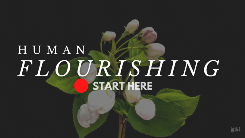 Human Flourishing