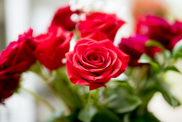 Memorial Flowers