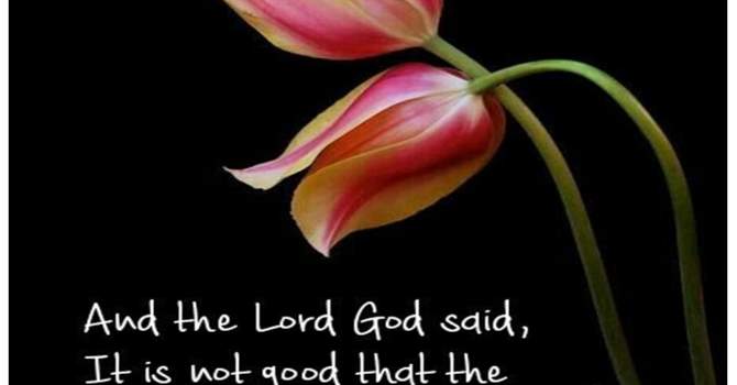 Prayer Letter  image