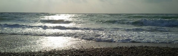 Cathedral Newsletter for February 19th, 2023