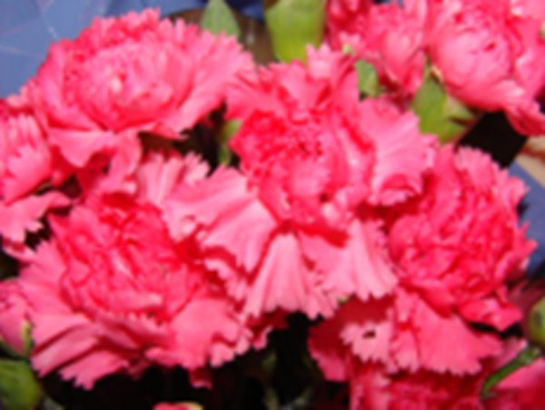 Memorial Flowers