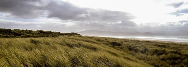 The week of Mar 19, 2023