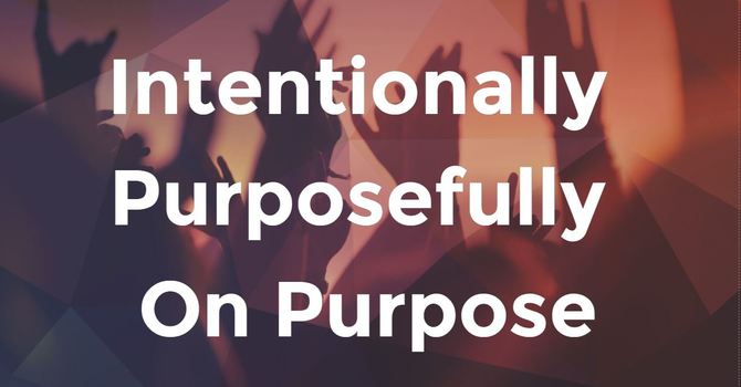 Intentionally Purposefully On Purpose