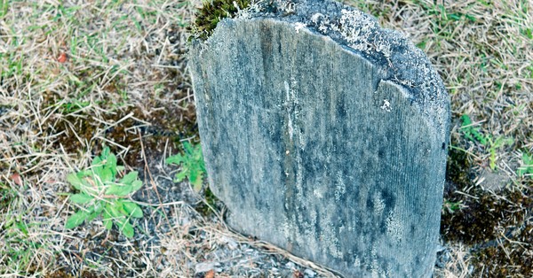 Pioneer Cemetery Volunteer Work Bee