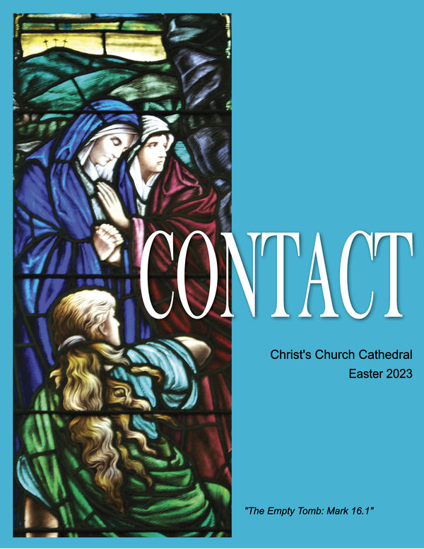 CONTACT NOW AVAILABLE