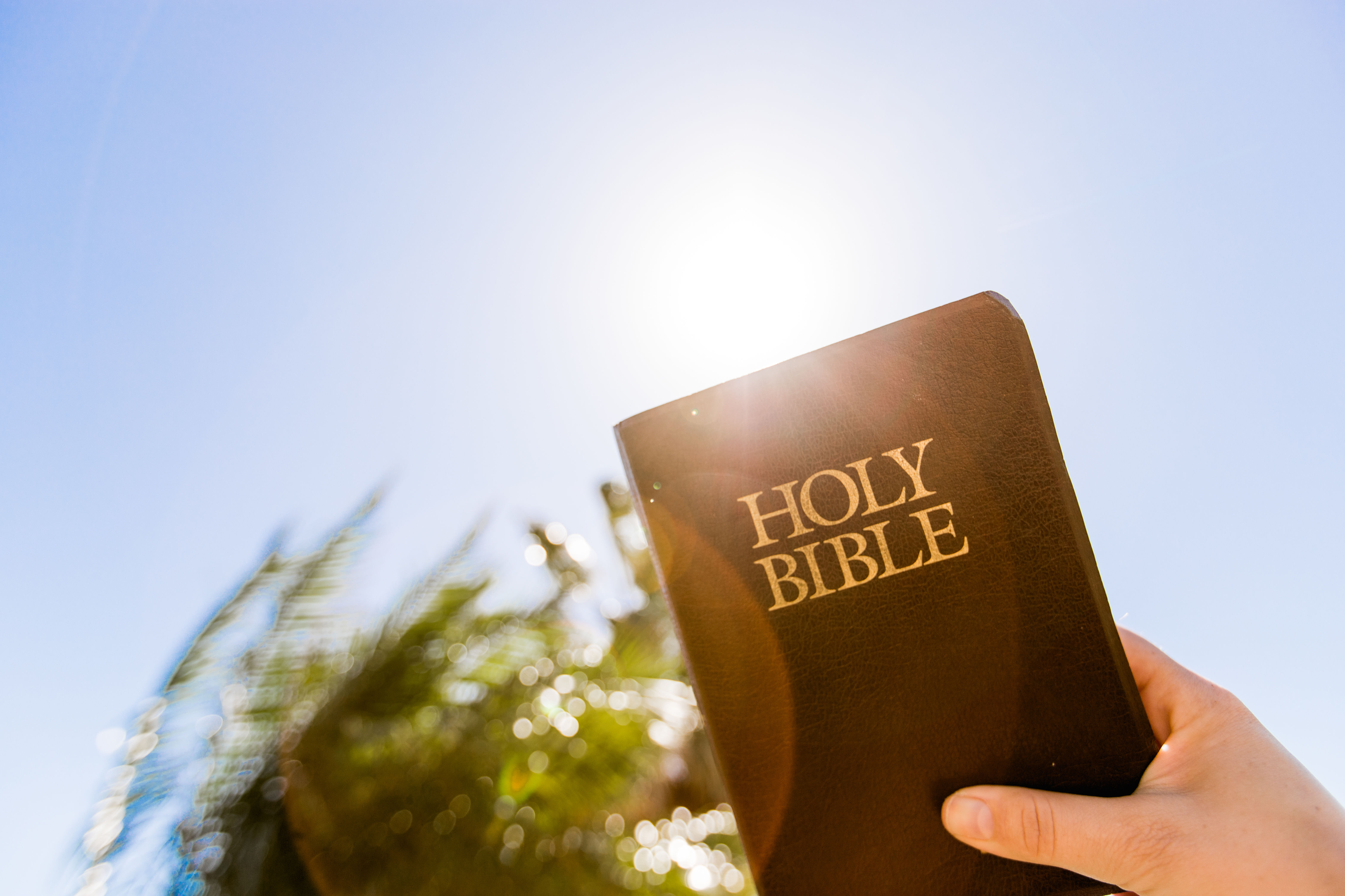 New Hope Bible Church 3