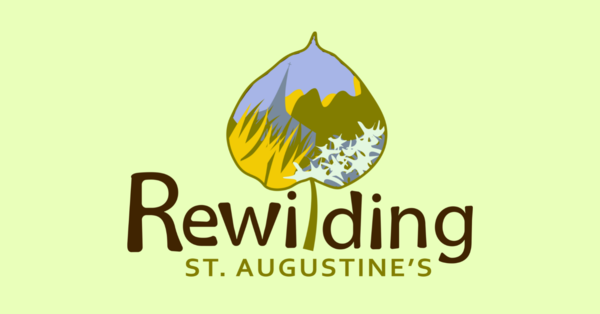 Rewilding Woodland BBQ & Beer Garden Fundraiser