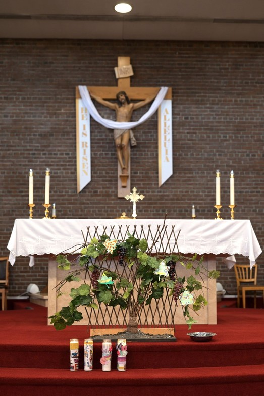 Slideshow image