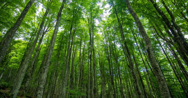 Three Seeds of Ecospirituality Retreat