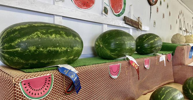 Fair Displays