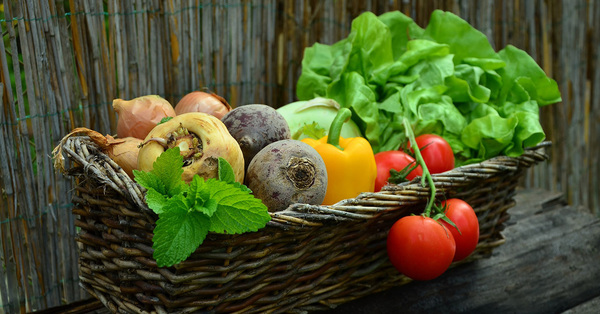 Food Stakeholder Gathering 
