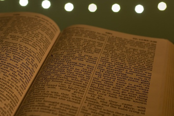 The readings for this week.