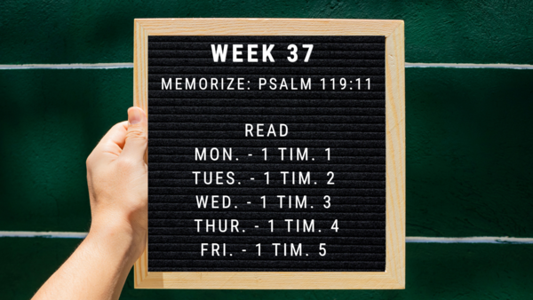 BACK TO THE BASICS: GROWING TOGETHER IN OUR FAITH