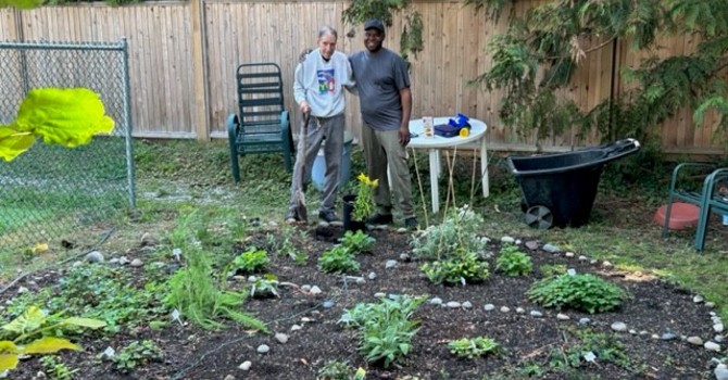 Making Healing Salves from Native Plants 