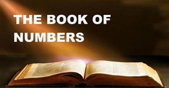 Look to Jesus