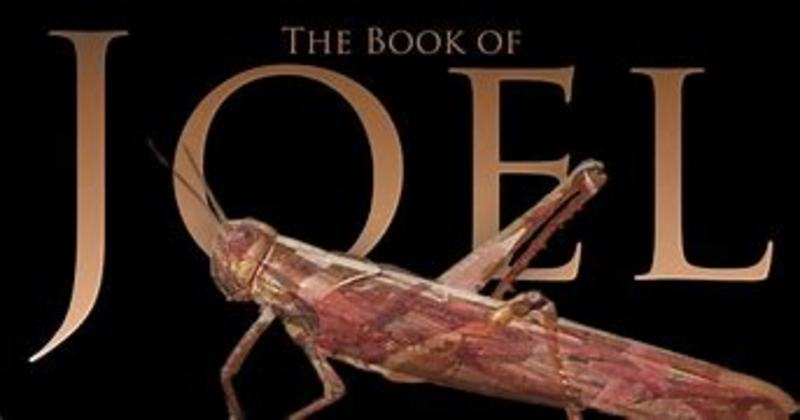 The Years the Locusts Have Eaten