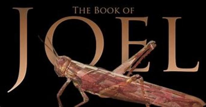 The Years the Locusts Have Eaten