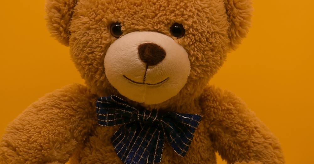 Teddy Bear Service