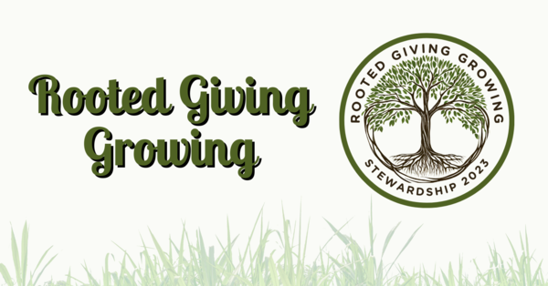 Stewardship: Rooted, Giving, Growing in 2024