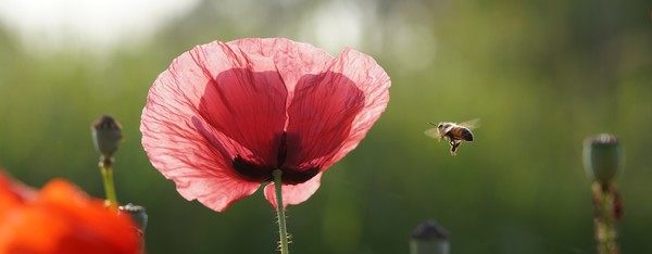 The week of Nov 5, 2023