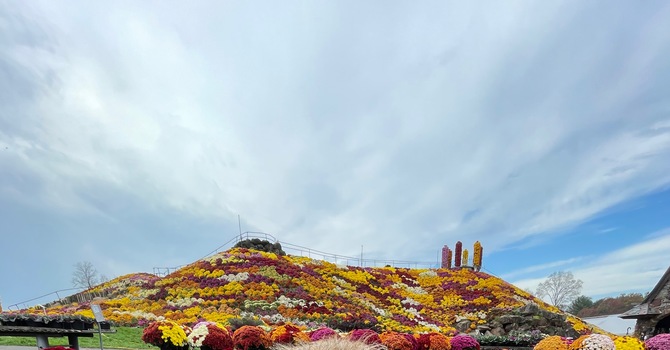 Thanksgiving Day image