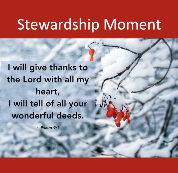 Stewardship