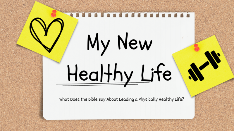 My New Healthy Life